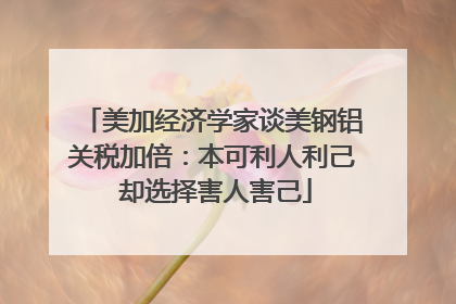 美加经济学家谈美钢铝关税加倍：本可利人利己 却选择害人害己