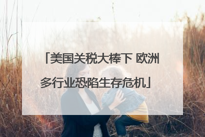 美国关税大棒下 欧洲多行业恐陷生存危机