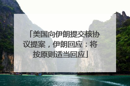 美国向伊朗提交核协议提案，伊朗回应：将按原则适当回应