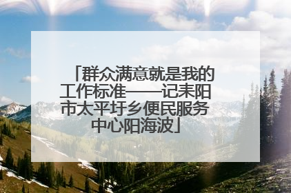 群众满意就是我的工作标准——记耒阳市太平圩乡便民服务中心阳海波