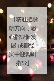 精准把脉明方向，悉心指导促发展 成都经实中迎调研指导