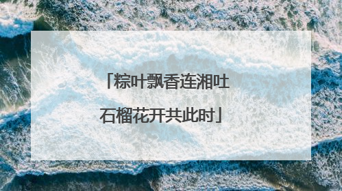粽叶飘香连湘吐 石榴花开共此时