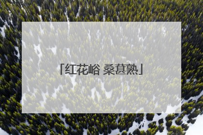 红花峪 桑葚熟