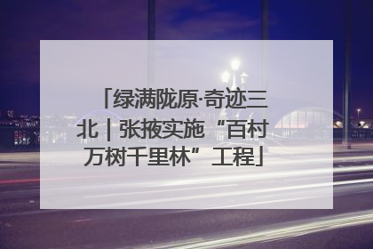 绿满陇原·奇迹三北｜张掖实施“百村万树千里林”工程