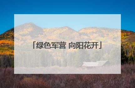 绿色军营 向阳花开