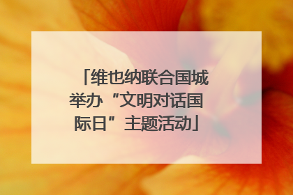 维也纳联合国城举办“文明对话国际日”主题活动