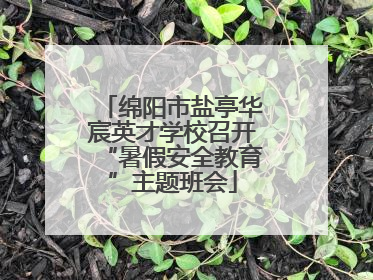 绵阳市盐亭华宸英才学校召开“暑假安全教育”主题班会