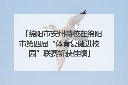 绵阳市安州特校在绵阳市第四届“体育复健进校园”联赛斩获佳绩