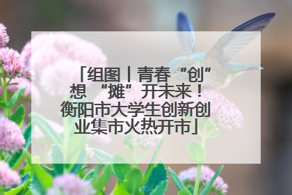 组图丨青春“创”想 “摊”开未来！衡阳市大学生创新创业集市火热开市