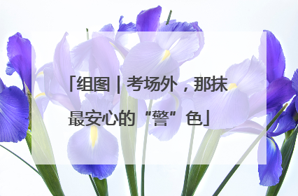 组图｜考场外，那抹最安心的“警”色