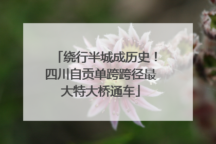 绕行半城成历史！四川自贡单跨跨径最大特大桥通车