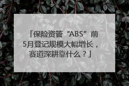 保险资管“ABS”前5月登记规模大幅增长，赛道深耕靠什么？