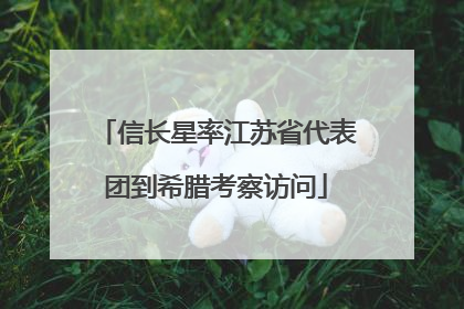 信长星率江苏省代表团到希腊考察访问