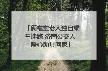 俩耄耋老人独自乘车迷路 济南公交人暖心助其回家