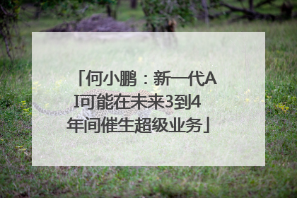 何小鹏：新一代AI可能在未来3到4年间催生超级业务