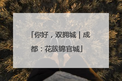 你好，双拥城｜成都：花簇锦官城