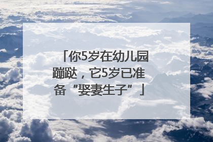 你5岁在幼儿园蹦跶，它5岁已准备“娶妻生子”