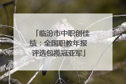 临汾市中职创佳绩：全国职教年报评选包揽冠亚军
