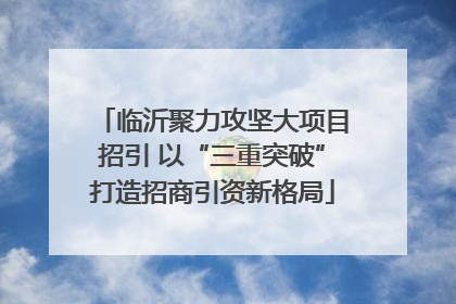 临沂聚力攻坚大项目招引 以“三重突破”打造招商引资新格局