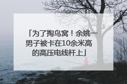 为了掏鸟窝！余姚一男子被卡在10余米高的高压电线杆上