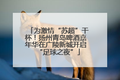 为激情“苏超”干杯！扬州青岛啤酒嘉年华在广陵新城开启“足球之夜”