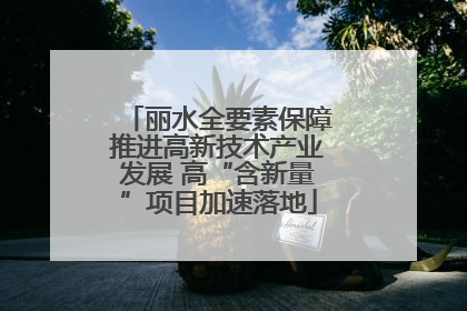 丽水全要素保障推进高新技术产业发展 高“含新量”项目加速落地