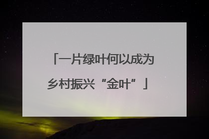 一片绿叶何以成为乡村振兴“金叶”