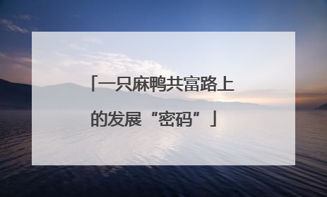 一只麻鸭共富路上的发展“密码”