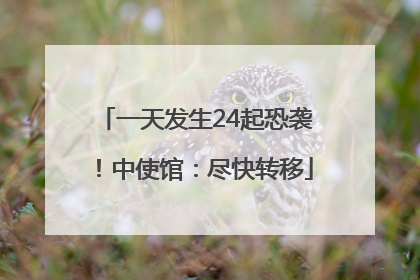 一天发生24起恐袭！中使馆：尽快转移