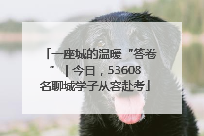 一座城的温暖“答卷”｜今日，53608名聊城学子从容赴考