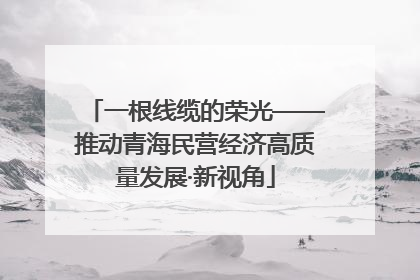 一根线缆的荣光——推动青海民营经济高质量发展·新视角