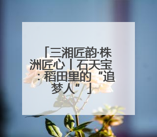 三湘匠韵·株洲匠心丨石天宝：稻田里的“追梦人”