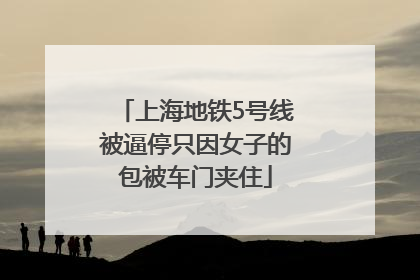 上海地铁5号线被逼停只因女子的包被车门夹住