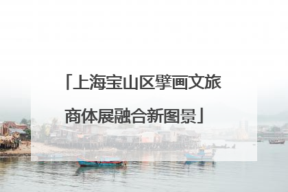 上海宝山区擘画文旅商体展融合新图景