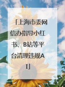 上海市委网信办指导小红书、B站等平台清理违规AI
