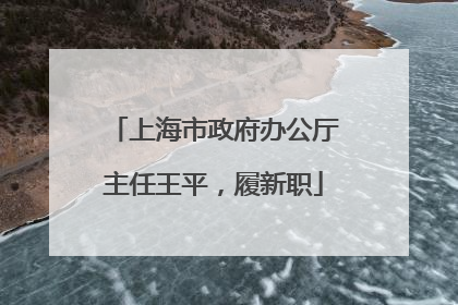 上海市政府办公厅主任王平，履新职
