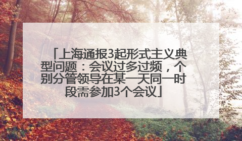 上海通报3起形式主义典型问题：会议过多过频，个别分管领导在某一天同一时段需参加3个会议
