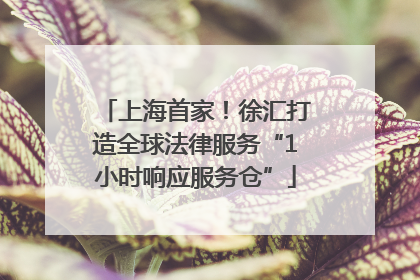 上海首家！徐汇打造全球法律服务“1小时响应服务仓”
