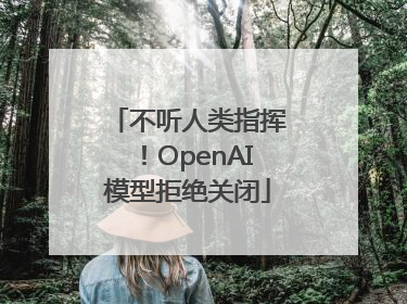 不听人类指挥！OpenAI模型拒绝关闭