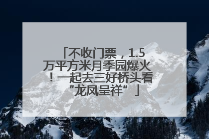 不收门票，1.5万平方米月季园爆火！一起去三好桥头看“龙凤呈祥”