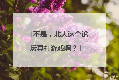 不是，北大这个论坛真打游戏啊？