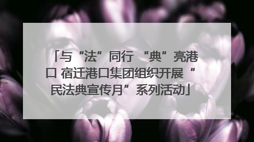 与“法”同行 “典”亮港口 宿迁港口集团组织开展“民法典宣传月”系列活动