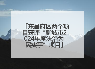 东昌府区两个项目获评“聊城市2024年度法治为民实事”项目
