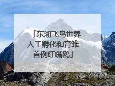 东湖飞鸟世界人工孵化和育雏首例红嘴鸥