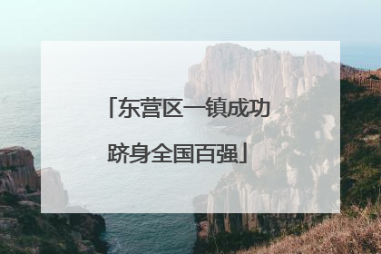 东营区一镇成功跻身全国百强