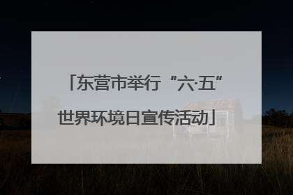东营市举行“六·五”世界环境日宣传活动