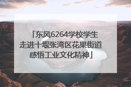 东风6264学校学生走进十堰张湾区花果街道感悟工业文化精神