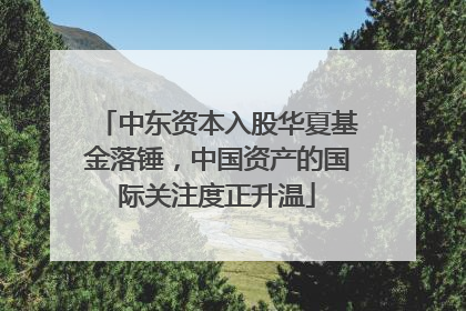 中东资本入股华夏基金落锤，中国资产的国际关注度正升温
