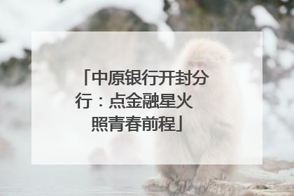 中原银行开封分行：点金融星火 照青春前程
