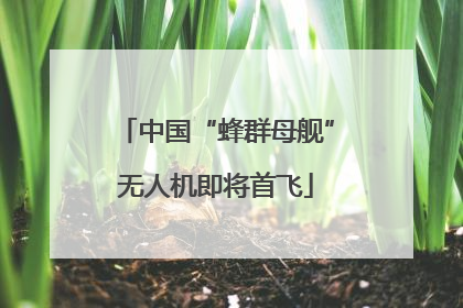 中国“蜂群母舰”无人机即将首飞